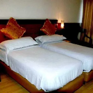 Ashoka Palace 3*, New Delhi India